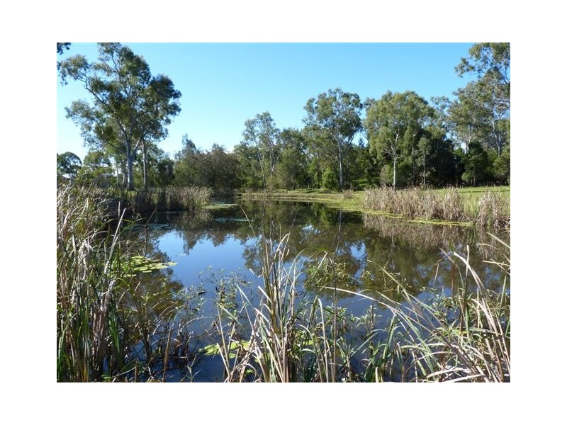 Urangan QLD 4655