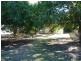 Lot 1/56 Spence St, Point Vernon QLD 4655