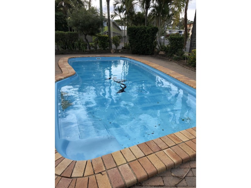 8/99 Cypress Street, Torquay QLD 4655