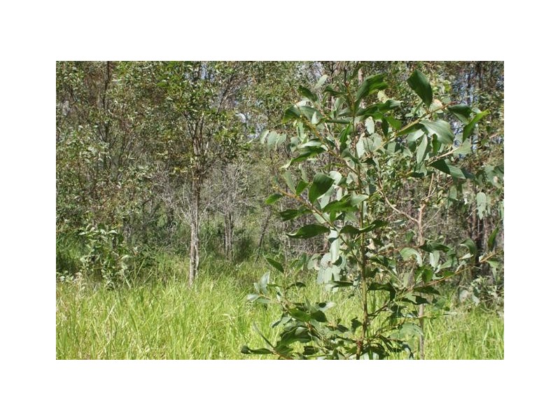 Maroondan QLD 4671