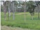 Taunton QLD 4674