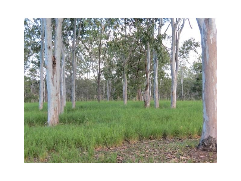 Taunton QLD 4674