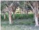Taunton QLD 4674