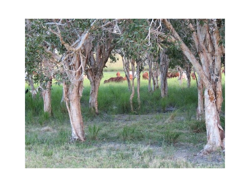 Taunton QLD 4674