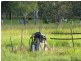 Taunton QLD 4674