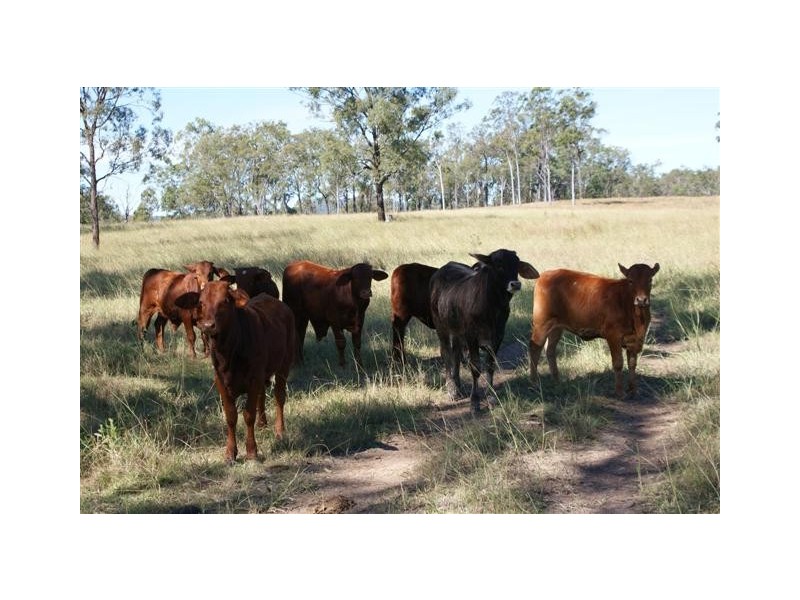 Rosedale QLD 4674