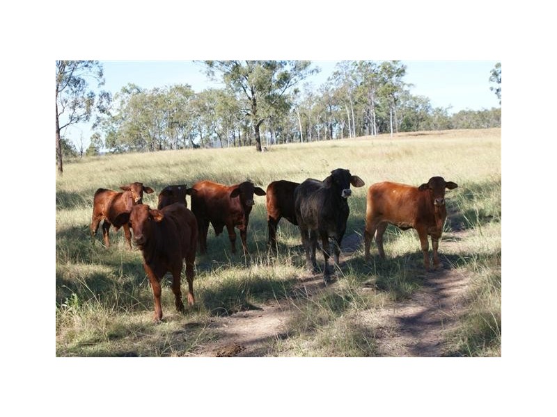 Rosedale QLD 4674