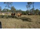 Rosedale QLD 4674