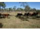 Rosedale QLD 4674