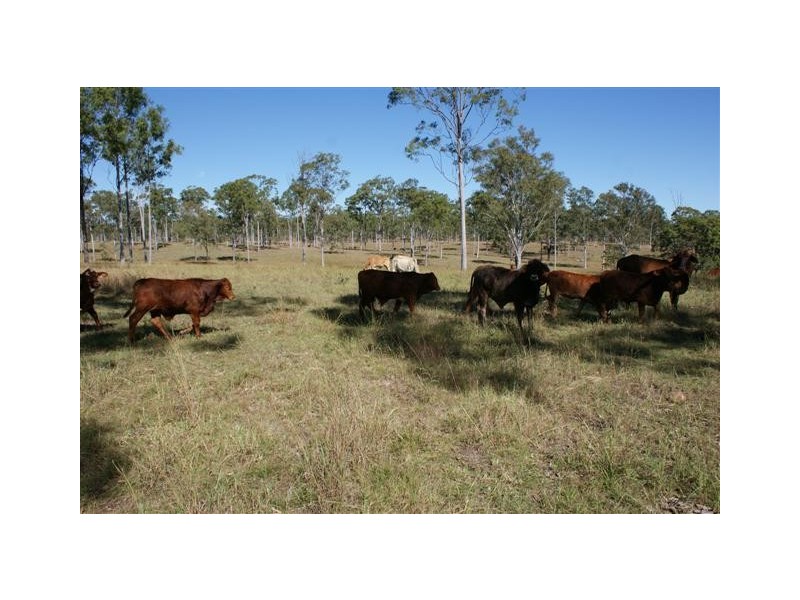 Rosedale QLD 4674