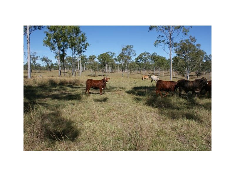 Rosedale QLD 4674