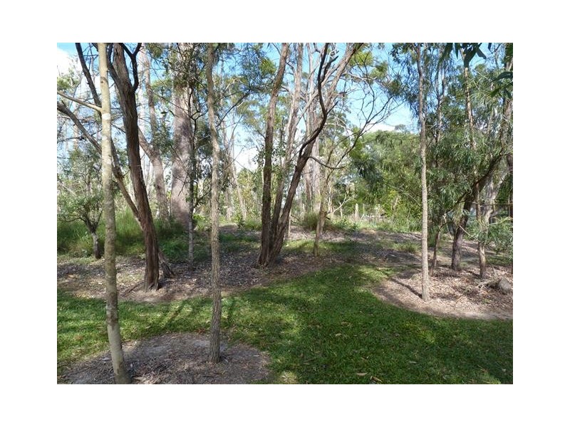 15 Dreamtime Ave, Burrum Heads QLD 4659
