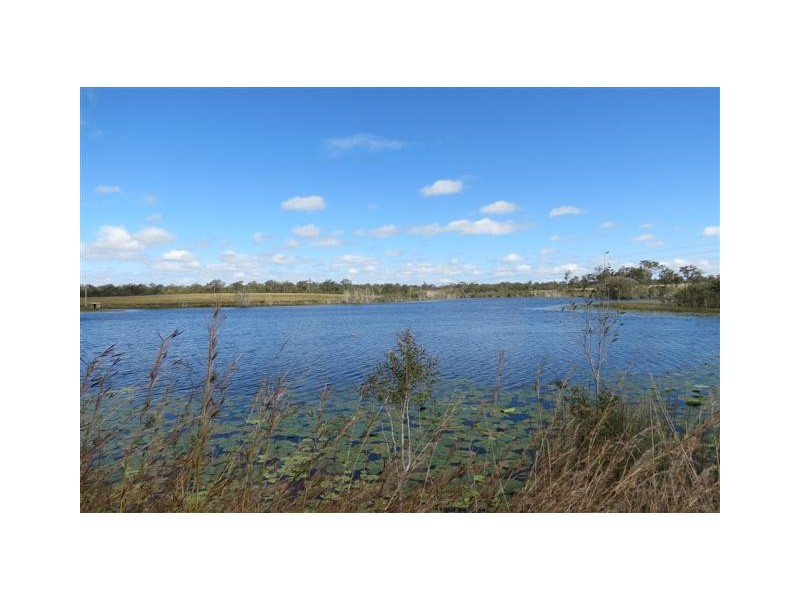Elliott QLD 4670