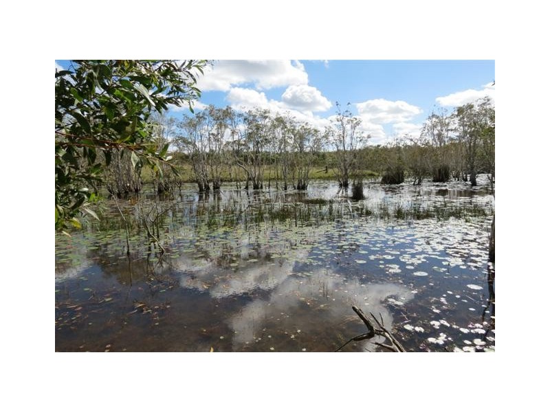 Elliott QLD 4670