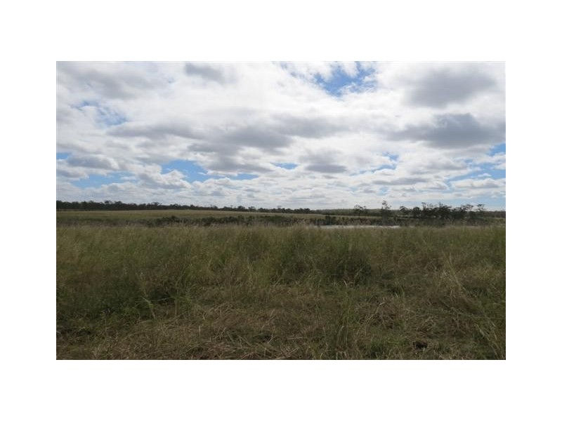 Elliott QLD 4670