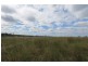 Elliott QLD 4670