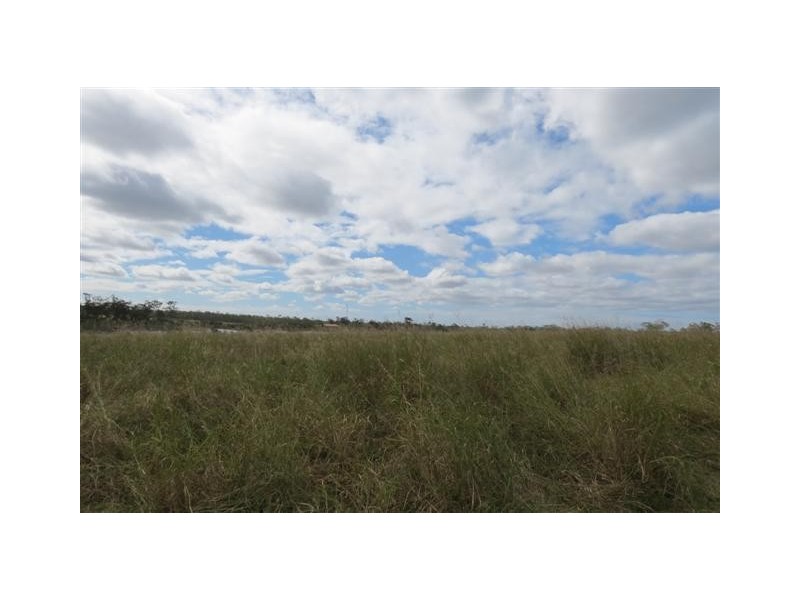 Elliott QLD 4670