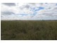 Elliott QLD 4670