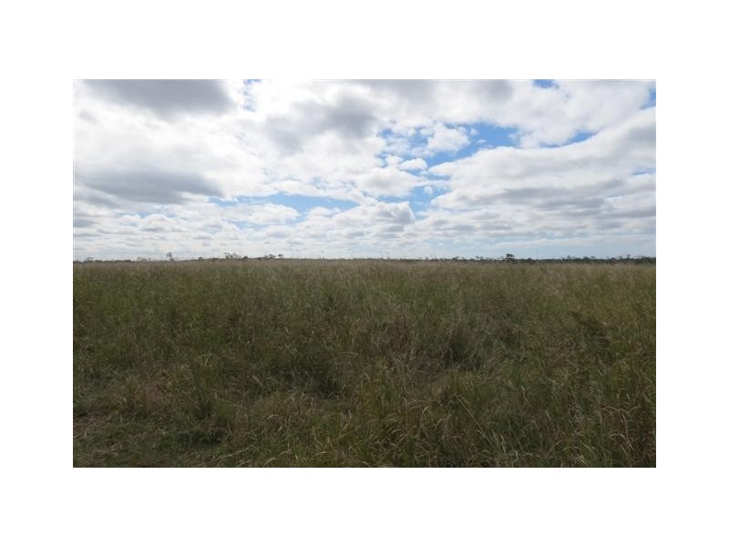 Elliott QLD 4670