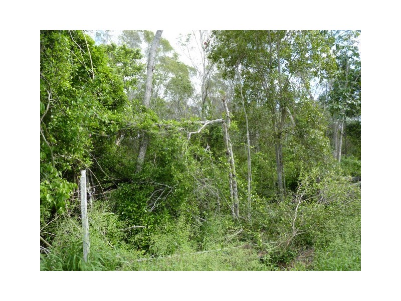 39 Henks Court, Craignish QLD 4655