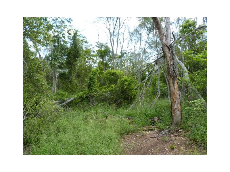 39 Henks Court, Craignish QLD 4655