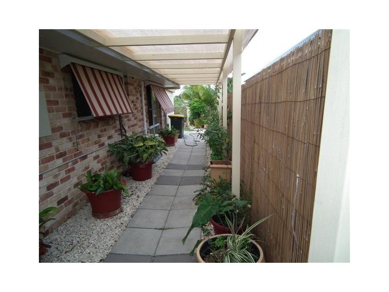 56 Caddy Avenue, Urraween QLD 4655