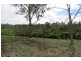 228 River Road, Good Night QLD 4671