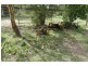228 River Road, Good Night QLD 4671