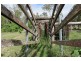 228 River Road, Good Night QLD 4671