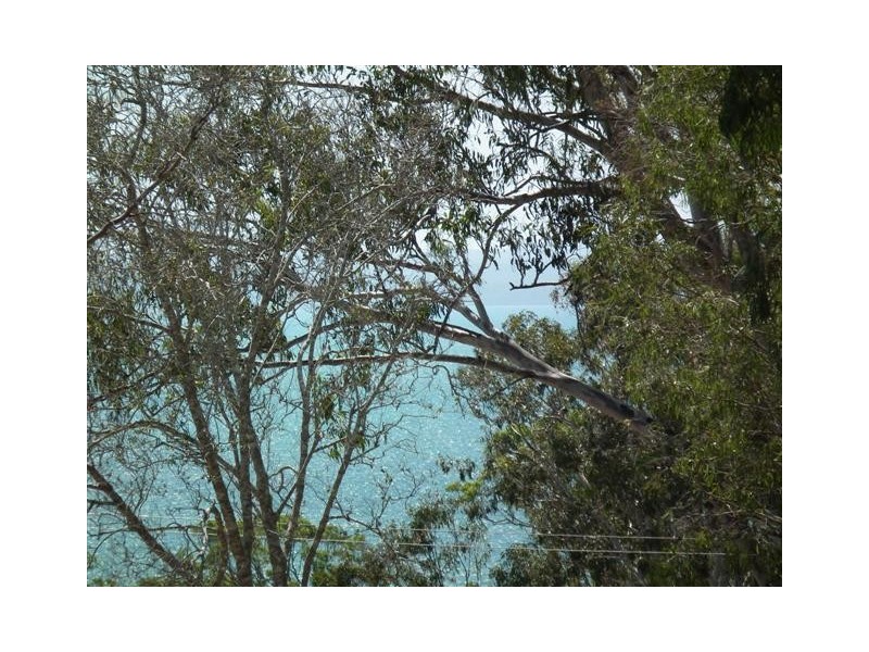 82 Ariadne Street, River Heads QLD 4655