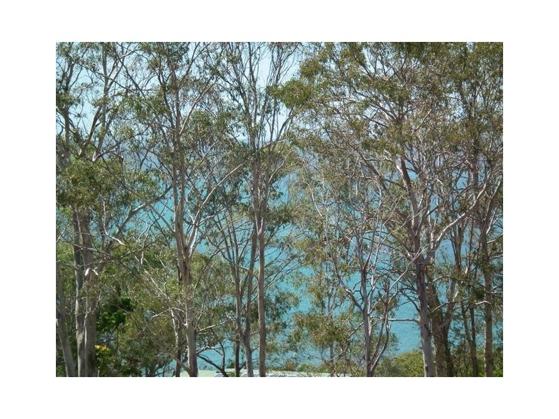 82 Ariadne Street, River Heads QLD 4655