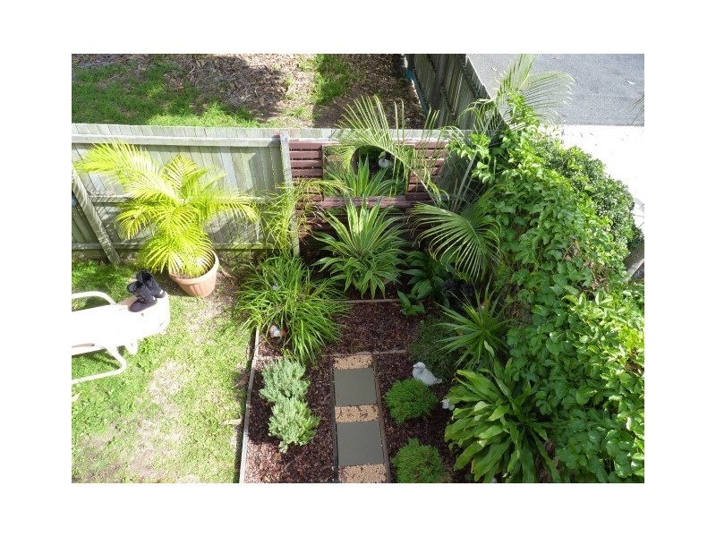 5/61 Taylor Street, Pialba QLD 4655