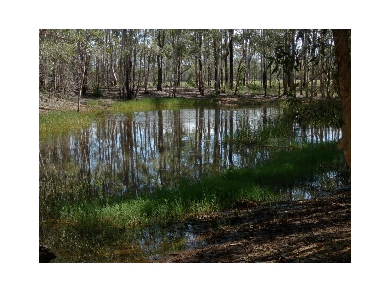 565 Mungomery Road, Takura QLD 4655