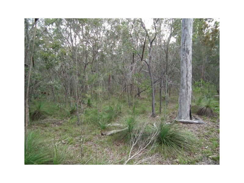 Lot 71 Honeyeater Drive, Walligan QLD 4655