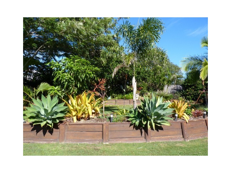 15 Waigani Ave, Kawungan QLD 4655