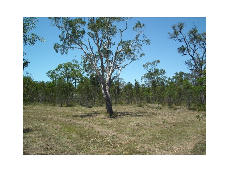 363 Condor Drive, Sunshine Acres QLD 4655