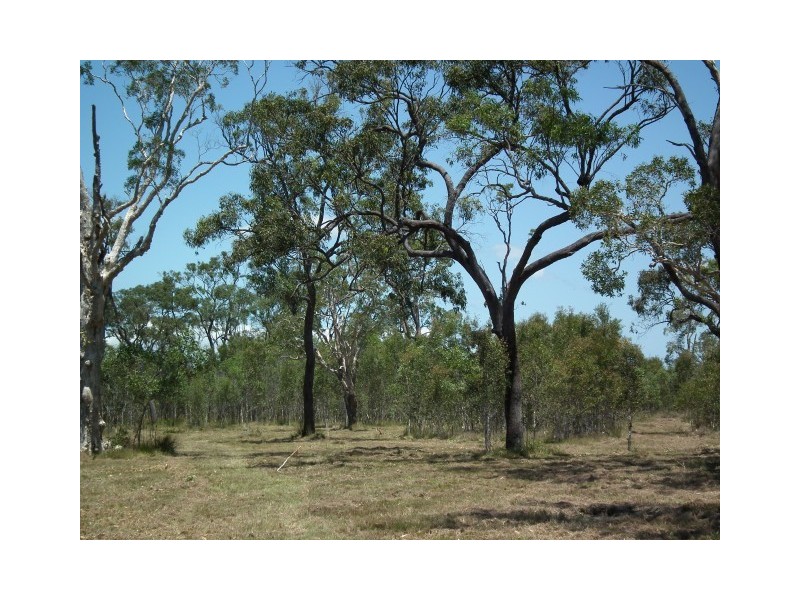 363 Condor Drive, Sunshine Acres QLD 4655