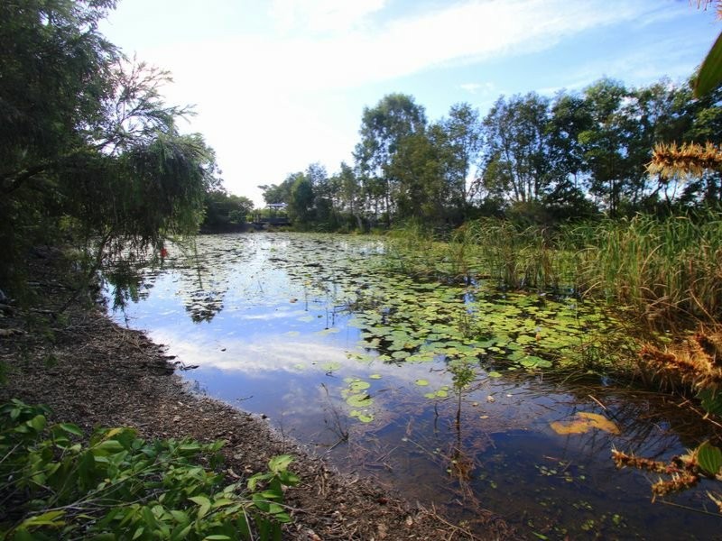 62 Bay Park Road, Wondunna QLD 4655