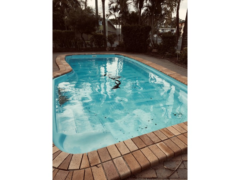 2/99 Cypress Street, Torquay QLD 4655