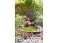 6 Whistler Court, Eli Waters QLD 4655 Floorplan