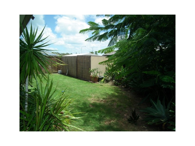 3 Bramble Court, Urraween QLD 4655