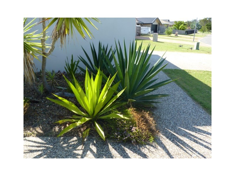 30 Spinnaker Drive, Point Vernon QLD 4655