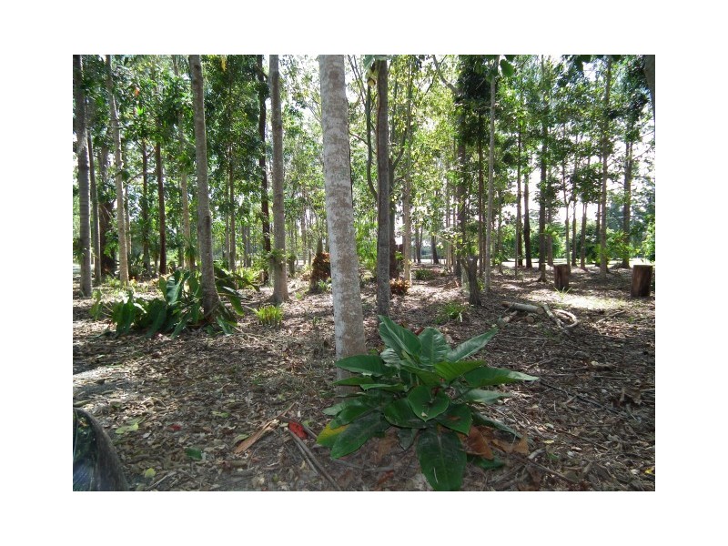 1 Ramsay Court, Dundathu QLD 4650