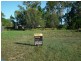 17 Coles Court, Toogoom QLD 4655