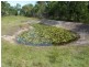 77 Beck Road, Urangan QLD 4655