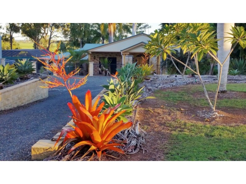 1 Ramsay Court, Dundathu QLD 4650