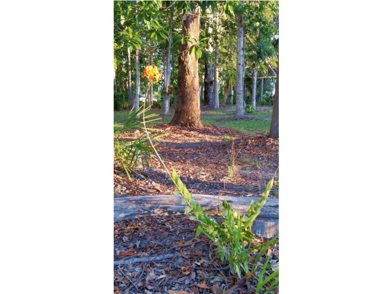 1 Ramsay Court, Dundathu QLD 4650