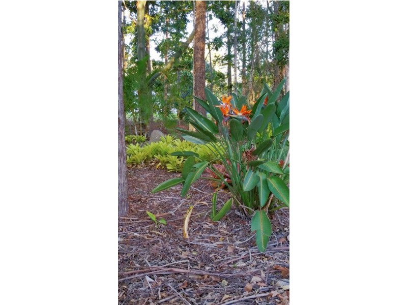 1 Ramsay Court, Dundathu QLD 4650