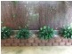 16 Kintore Place, Gunn NT 0832