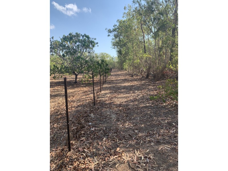 95 Doxas Road, Humpty Doo NT 0836